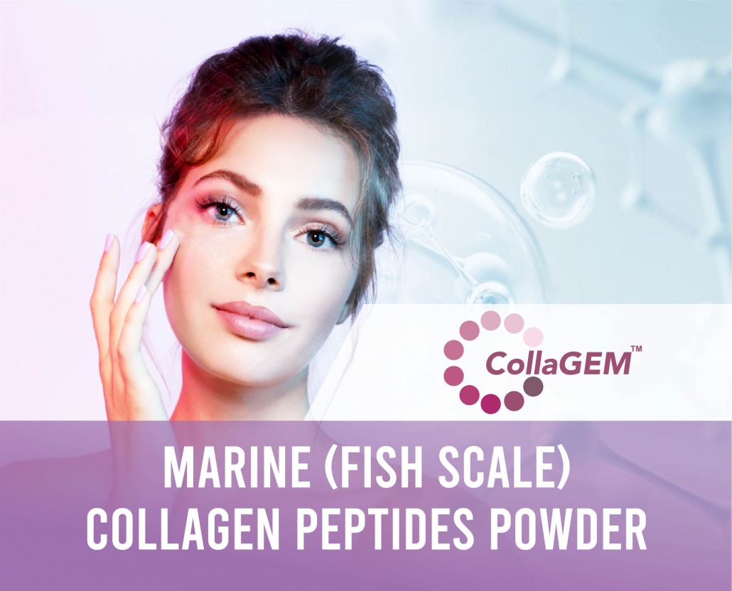 Bulk and Wholesale 500 daltion Fish Scale Collagen Peptides Powder Supplier
