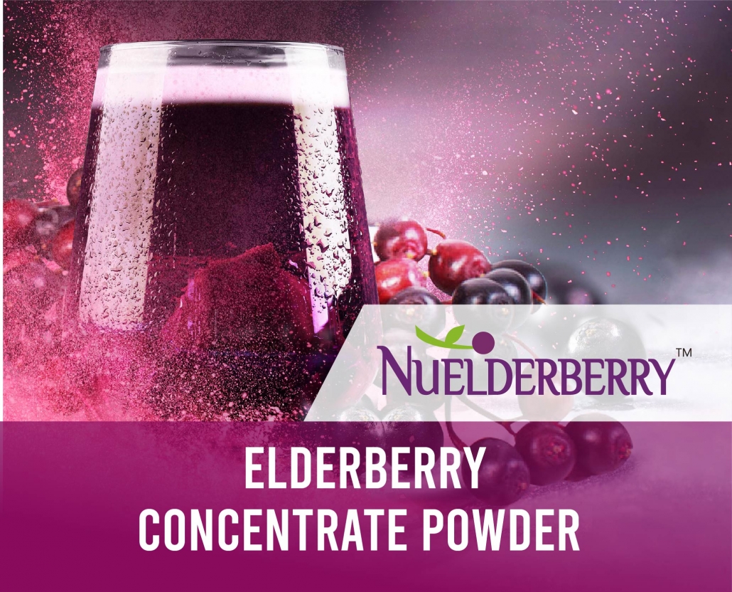 Expert of Bulk Elderberry Concentrate and Extract Powder Manufacturering