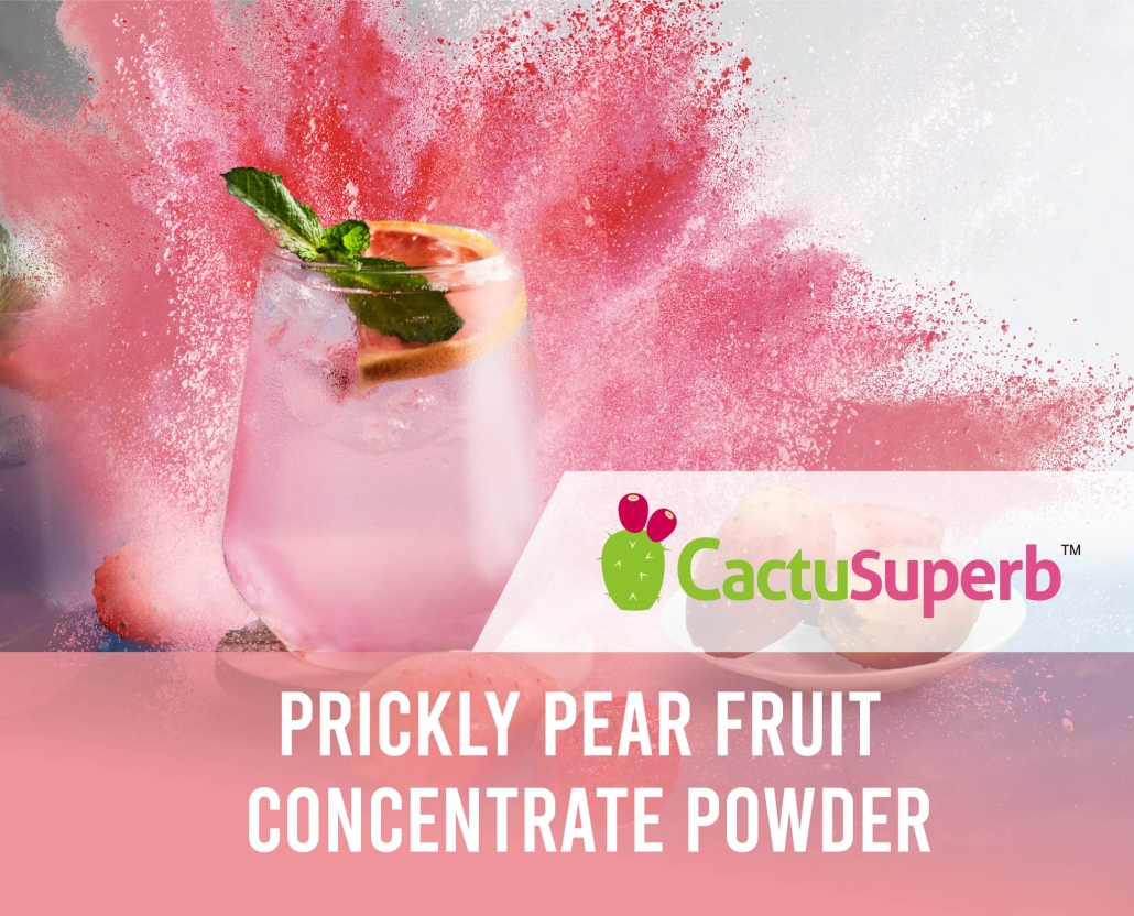 Expert of Bulk Cactus Fruit Concentrate Powder
