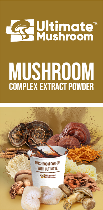 Mushroom Complex Extract Powder Supplier
