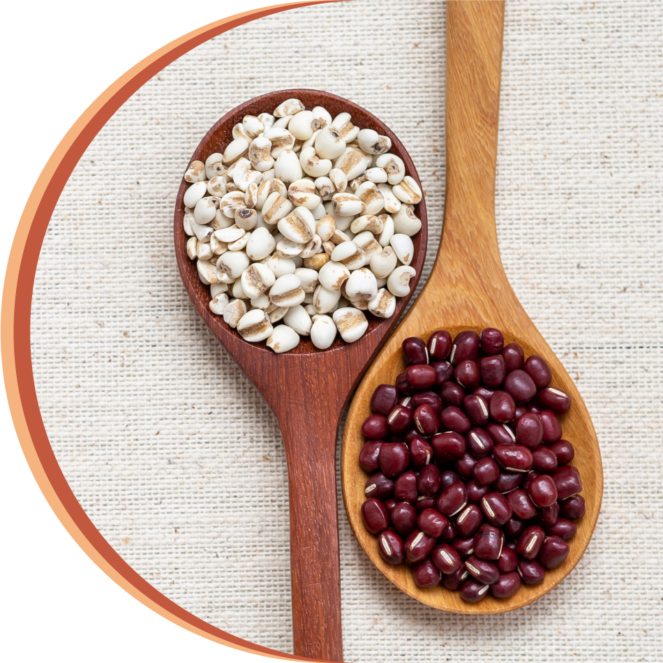 Azuki Bean (small red bean) and coix seeds extract powder taiwan supplier
