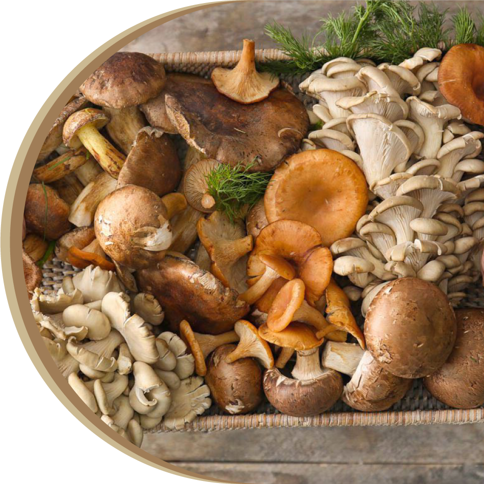 Mushroom chaga, reishi and lion mane powder contain indicative polysaccharides