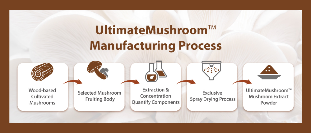 Mushroom extract powder ingredient with rich beta-glucan