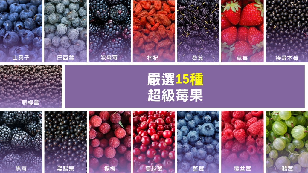 保健莓果粉原料生產與供應