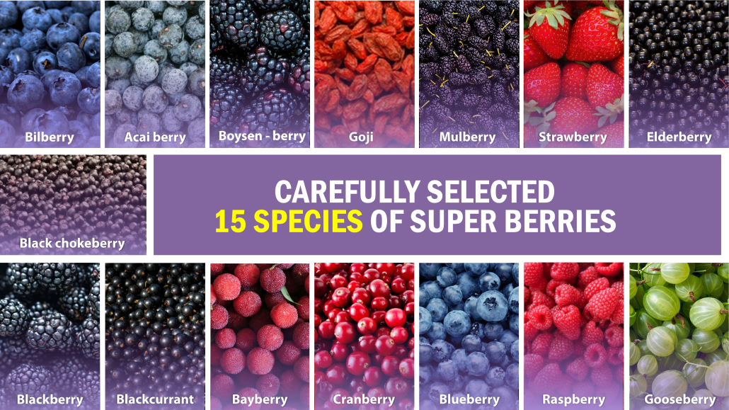 Super Complex Berries Powder contain bilberry, acai berry, boysenberry, goji, mulberry, strawberry, elderberry, black chokeberry, blackberry, blackcurrant, bayberry, cranberry, blueberry, raspberry, gooseberry.