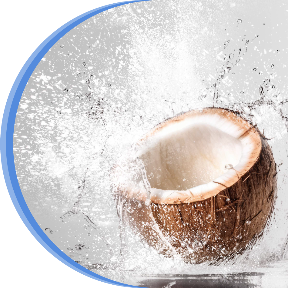 Manufacture of Ultra-stable coconut and palm MCT oil powder for any nutritional product
